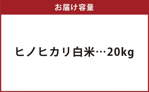 【令和8年産】 特別栽培米ヒノヒカリ （精米） 20kg 予約 新米 ヒノヒカリ 精米 井上農園 米 お米 白米 【2026年10月上旬～12月下旬迄発送予定】