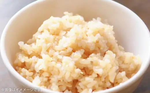 【令和8年産】 特別栽培米ヒノヒカリ （玄米） 20kg 予約 新米 ヒノヒカリ 玄米 井上農園 米 お米 【2026年10月上旬～12月下旬迄発送予定】