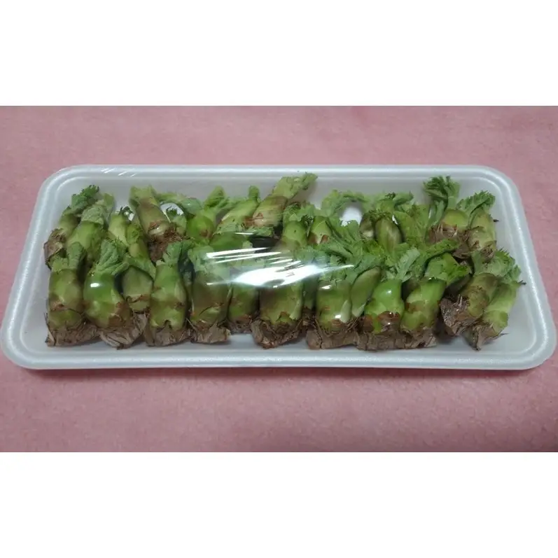 春を先どり　果汁たっぷりジューシーなタラの芽　500g