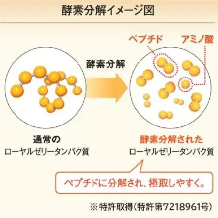 山田養蜂場　酵素分解ローヤルゼリーCoQ10　120粒袋入(11281)【1755602】