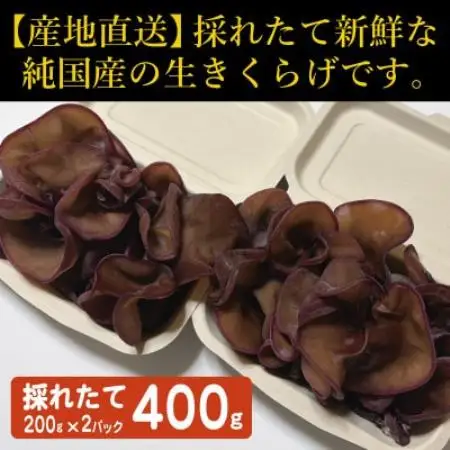 純国産　新鮮生きくらげ【配送不可地域：離島】【1777836】