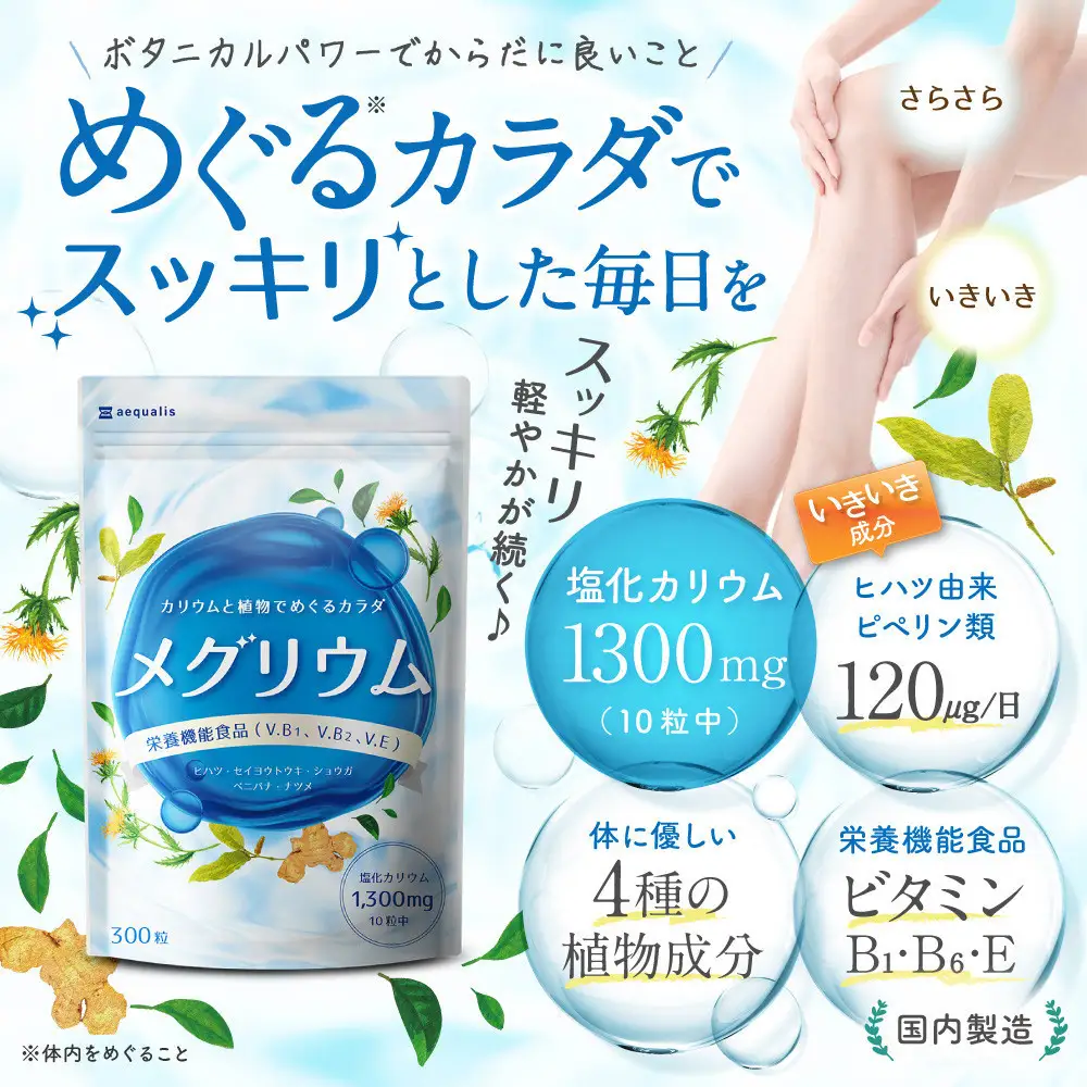 カリウム サプリメント メグリウム ヒハツ ショウガ 栄養機能食品 ビタミンB1 ビタミンB6 ビタミンE 6袋