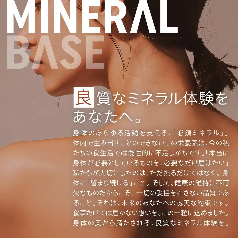 ミネラルベース 鉄 サプリ リポソーム ミネラル 栄養機能食品 鉄分 ビタミンC クエン酸 葉酸 サプリメント 6袋