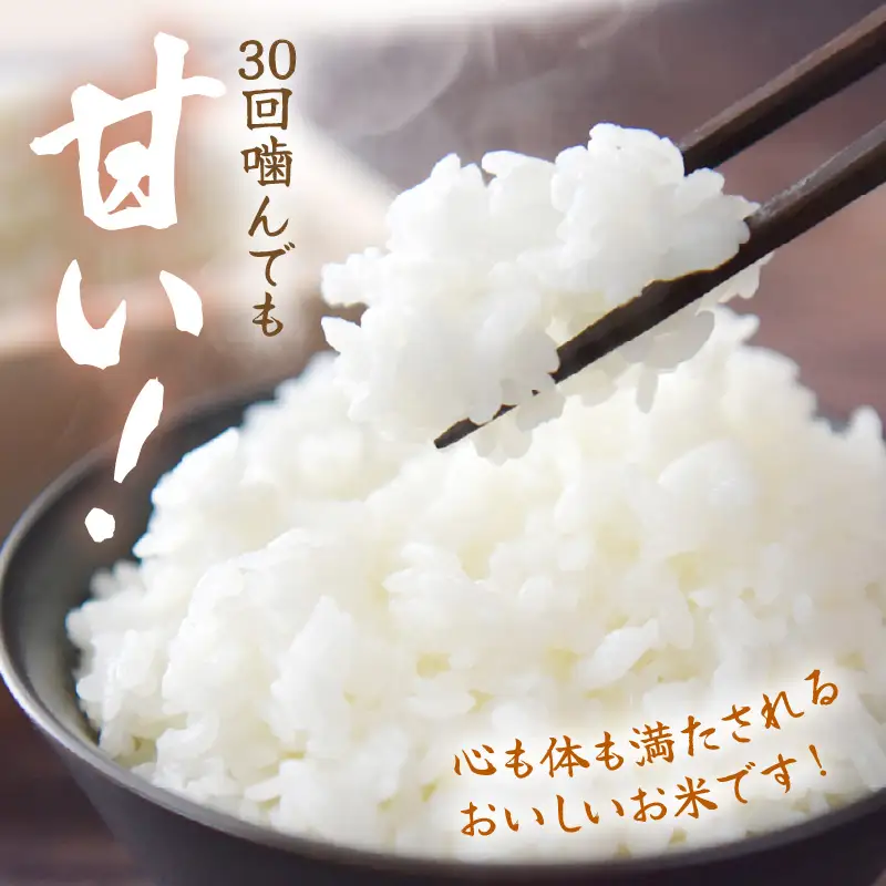 【無洗米】定期便 ≪6ヶ月連続お届け≫コシヒカリ 令和8年産 無洗米 10kg × 6回 (計60kg) 【長谷川農園】 [m22-l002]
