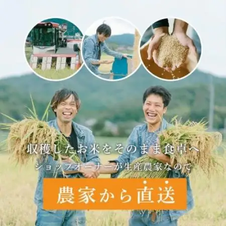 【毎月定期便】京都与謝野町産エナジーこしひかり精米5kg　農家直送全9回【4092865】