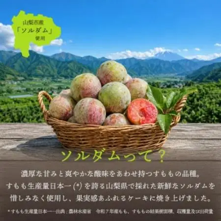 すもも丸ごとケーキ 山梨市産ソルダムをふんだんに使用した贅沢なフルーツケーキ 4号 1ホール【配送不可地域：離島】【1745000】