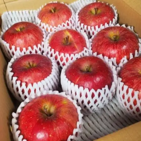 【訳あり品ではありません】葉とらずサンふじ 約3kg(7～12玉) 青森県産【配送不可地域：離島・沖縄県】【1762093】