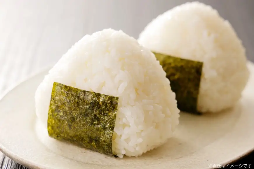 米 3回定期便 コシヒカリ 精米 10kg