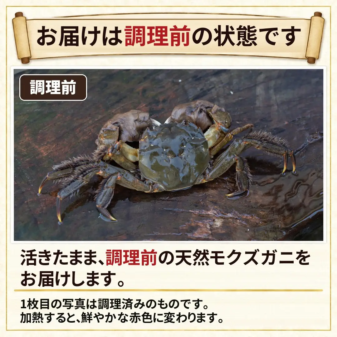 天然モクズガニ 1kg(8匹～12匹) 規格外 オスメス混合 | カニ 蟹 新潟県 五泉市