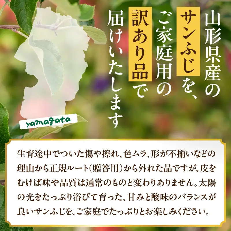 山形県産りんご 訳あり サンふじ 約5kg【2026年11月中旬頃～発送予定】 063-024
