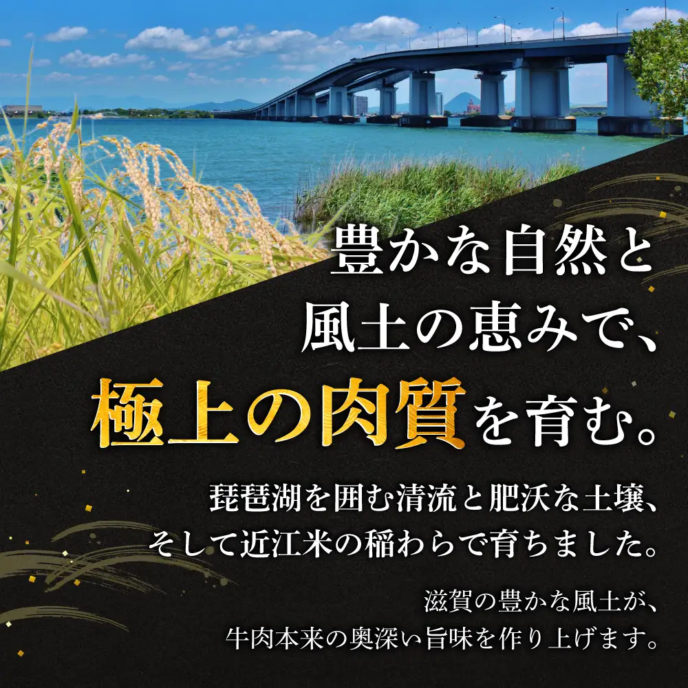 近江牛すき焼き用モモ・バラ300g 株式会社千成亭風土 滋賀県 東近江市 11-124-0001 近江牛 すき焼き 牛肉 モモ バラ 赤身 4等級 A4 和牛 滋賀