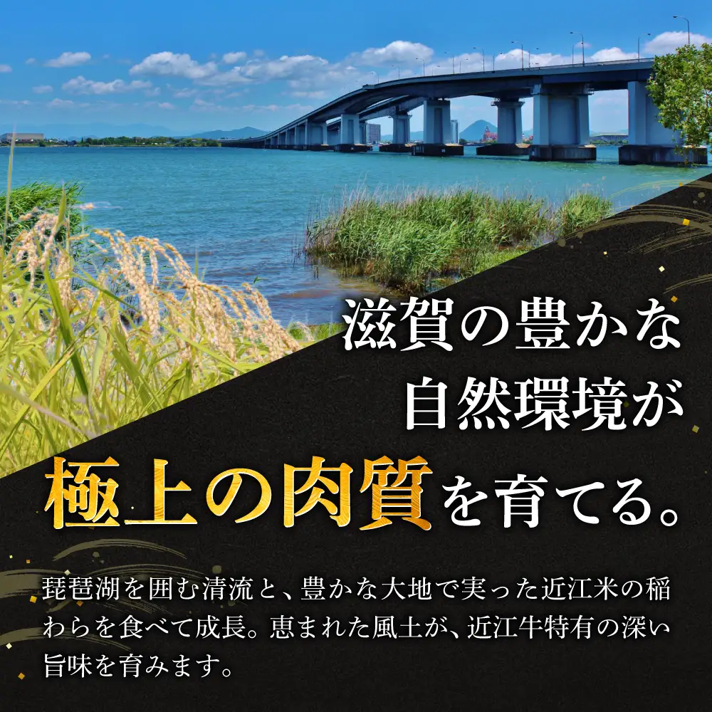 近江牛サーロインステーキ2枚 株式会社千成亭風土 滋賀県 東近江市 11-124-0006 近江牛 サーロイン ステーキ 牛肉 厚切り 霜降り A4 4等級 和牛 肉 滋賀