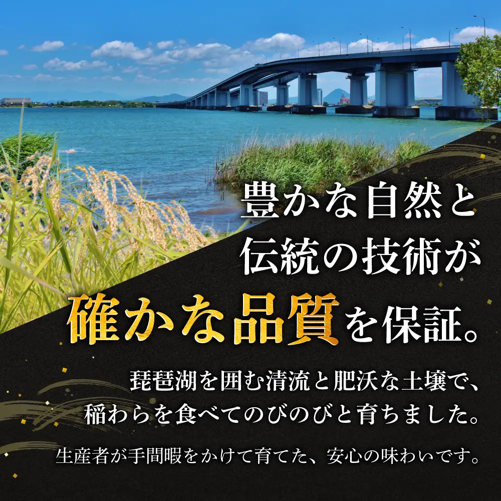 近江牛三角バラ焼肉用 三角バラ600g 株式会社千成亭風土 滋賀県 東近江市 11-124-0007 近江牛 焼肉 三角バラ 牛肉 霜降り カルビ A4 4等級 和牛 肉 滋賀