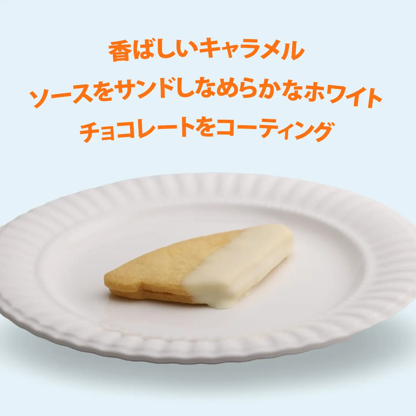ウインドサーフィンクッキー 横須賀ウインドブルー3個入り【カシュカシュ洋菓子店】[AKCG005]