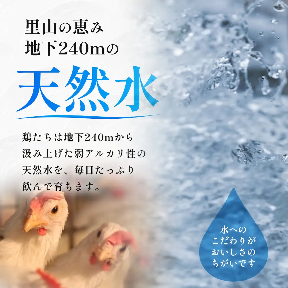 定期便 2回配送 新鮮 たまご 160個×2回 合計320個 | 自然豊かな庄原で生まれた 新鮮たまご 広島県 庄原市 訳アリ MSサイズ～2Lサイズ サイズ混合 サイズ指定不可