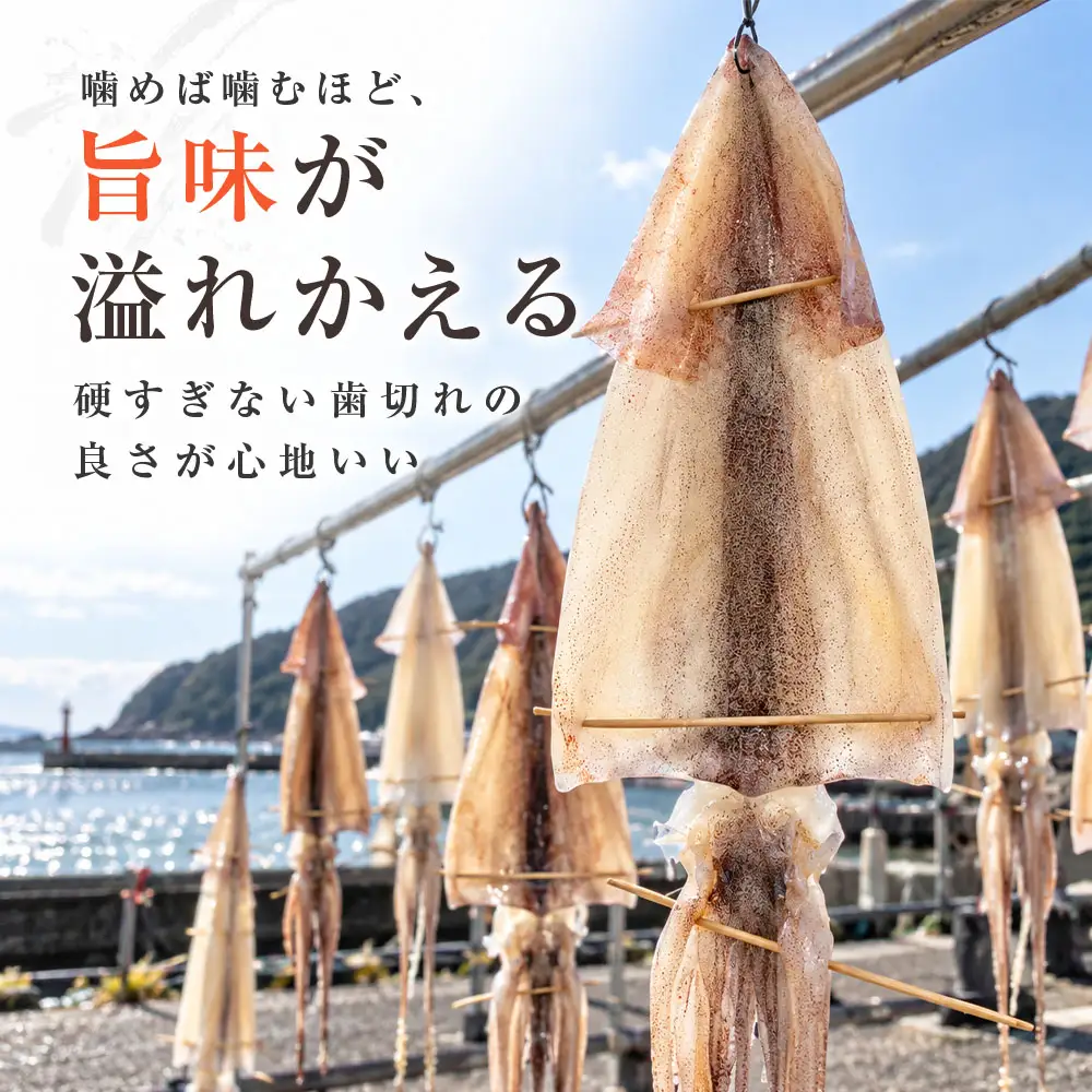 スルメイカの一夜干し 3枚 するめいか【R01783】