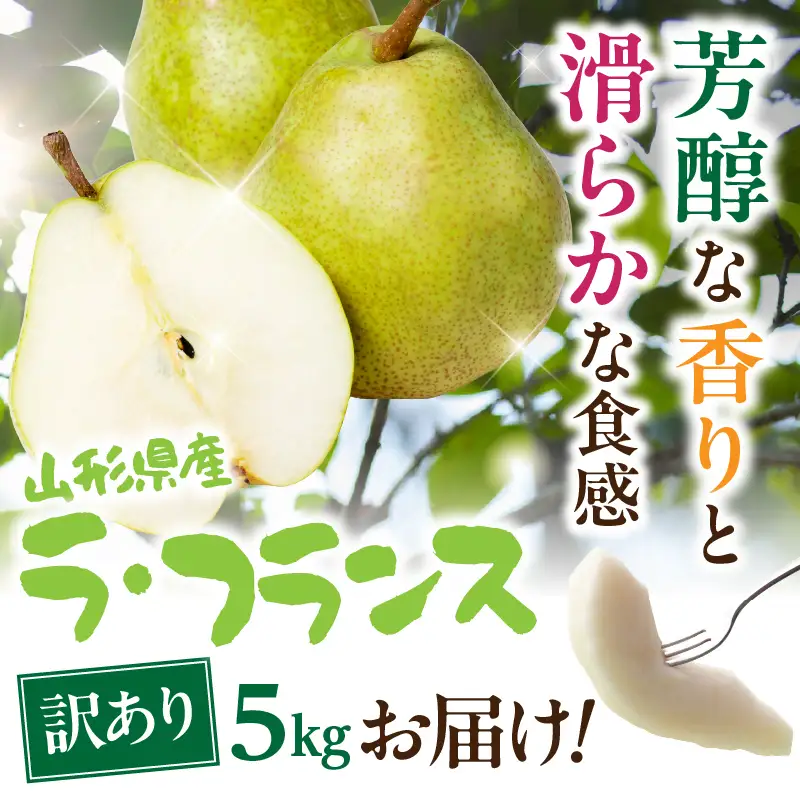 山形県産洋梨 訳あり ラ・フランス 約5kg【2026年11月上旬頃～発送予定】 063-027
