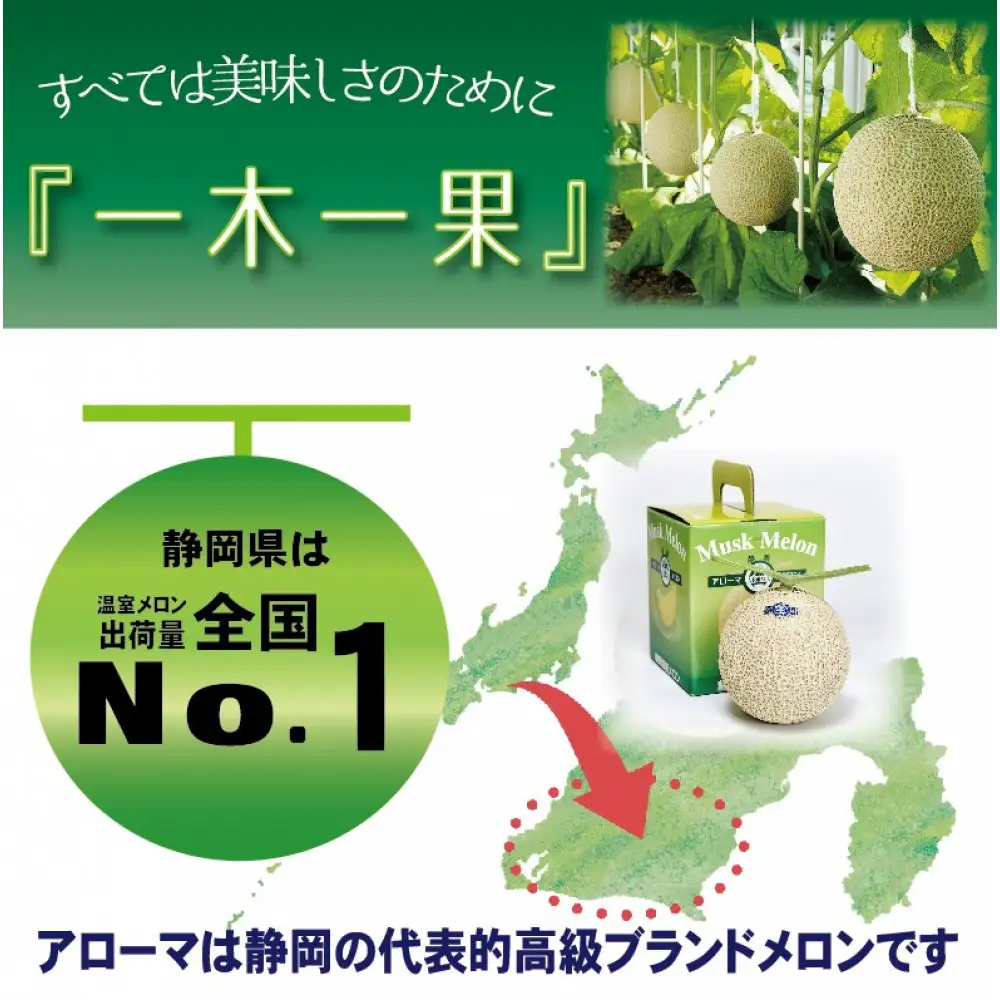 【通年出荷】アローマメロン(山等級) 2玉入