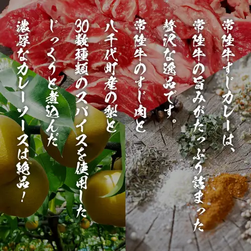 【茨城県共通返礼品】常陸牛すじカレー 200g ×4 常陸牛 カレー 牛肉 時短 ふるさと納税 [AU140ya]
