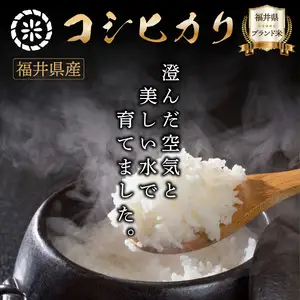 【定期便12回】コシヒカリ 無洗米 1kg 令和8年産 [095-t12-a031] 