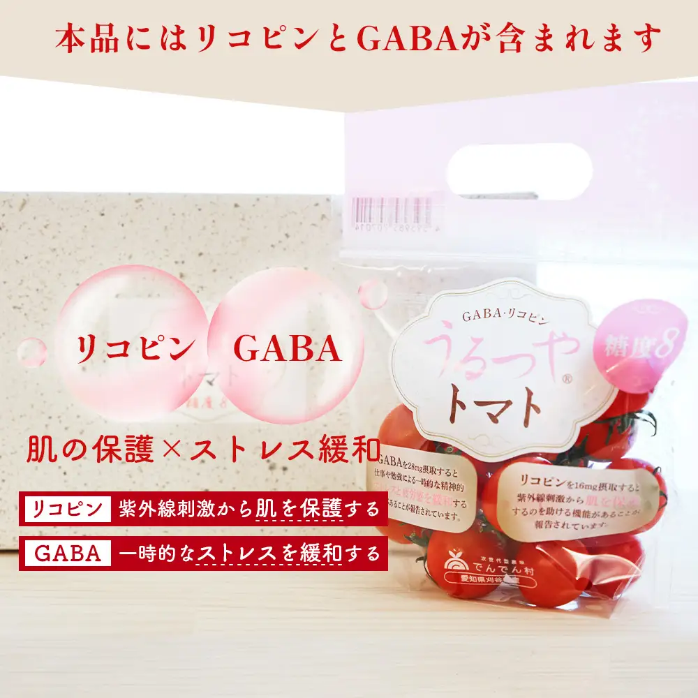 うるつやトマト 【糖度8】 10パック ／ ミニトマト 機能性表示食品 リコピン GABA 高糖度 甘いトマト みずみずしい 野菜不足対策 美容サポート 紫外線対策 食べやすい 朝食 お弁当 サラダ 国産 野菜ギフト ヘルシー オリジナルボックス 家庭用 プレゼント 贈り物 送料無料 愛知県 No.545-02
