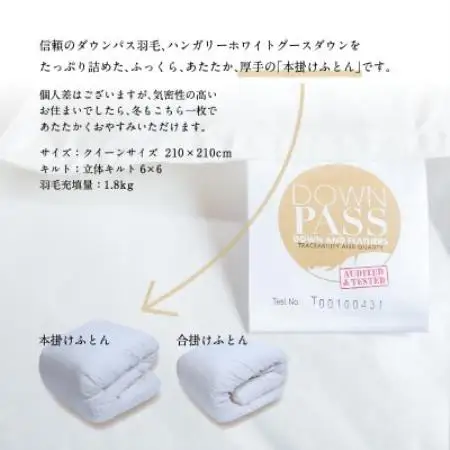 【富士新幸謹製】DOWNPASS 羽毛本掛けふとん・クイーン|ハンガリーホワイトグースダウン 93%【配送不可地域：離島】【1786510】