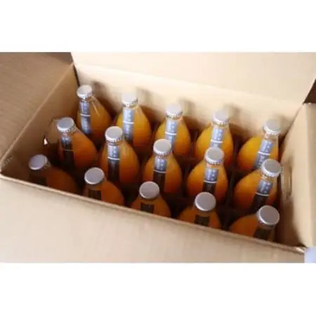 栽培期間中農薬・化学肥料不使用!ストレートみかんジュース600ml×15本　情熱カンパニー【1737105】