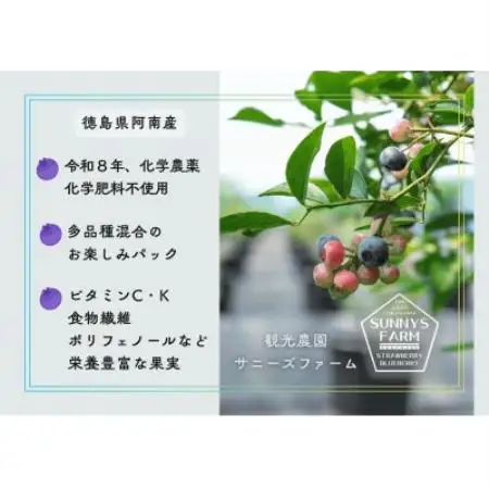 徳島県産冷凍ブルーベリー(栽培期間中化学農薬不使用) 計1500g【配送不可地域：離島】【1761247】