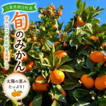 朝日町の太陽が育てた旬のみかん 約5kg　サイズ混合【2026年11月下旬より発送】【1753384】