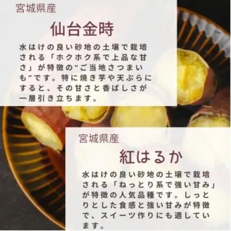【宮城県産】仙台金時・紅はるか　さつまいも計約5kg【1748709】