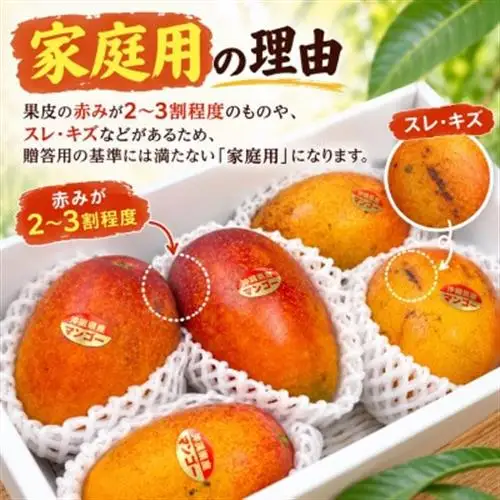 【2027年7月中旬より順次発送・白箱入り】瀬底さんの家庭用アップルマンゴー2kg(4～6玉)【配送不可地域：離島】【1785992】