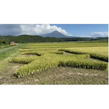 鳥取県産 星空舞　8kg【1754745】