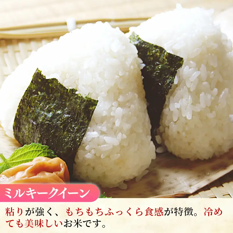 新米 令和8年産 ミルキークイーン 精米 5kg (5kg×1袋) 中山産業