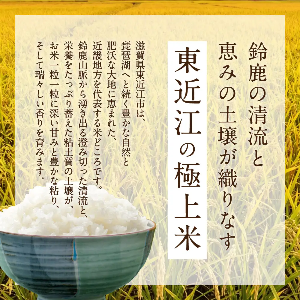 キューブ精米3個セット（ギフトBOX付き） 滋賀蒲生町農業協同組合 旬菜館さくら 滋賀県 東近江市 11-121-0001 米 お米 ギフト 詰め合わせ 食べ比べ コシヒカリ きらみずき みずかがみ 3種 近江米 滋賀