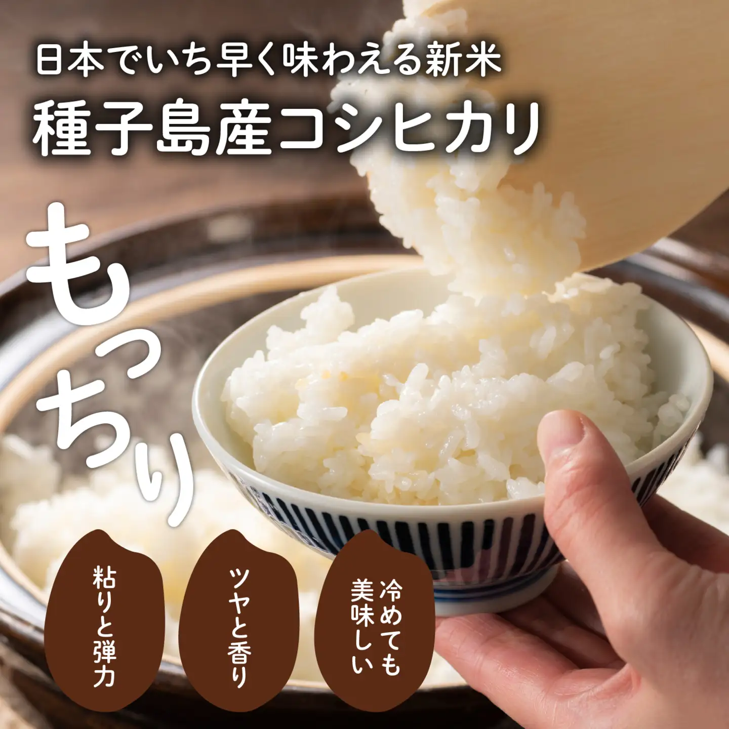 令和8年産 新米 コシヒカリ 10kg  お米 こめ コメ 精米 白米 南種子町 鹿児島 かごしま 【株式会社こめこめアイランド】