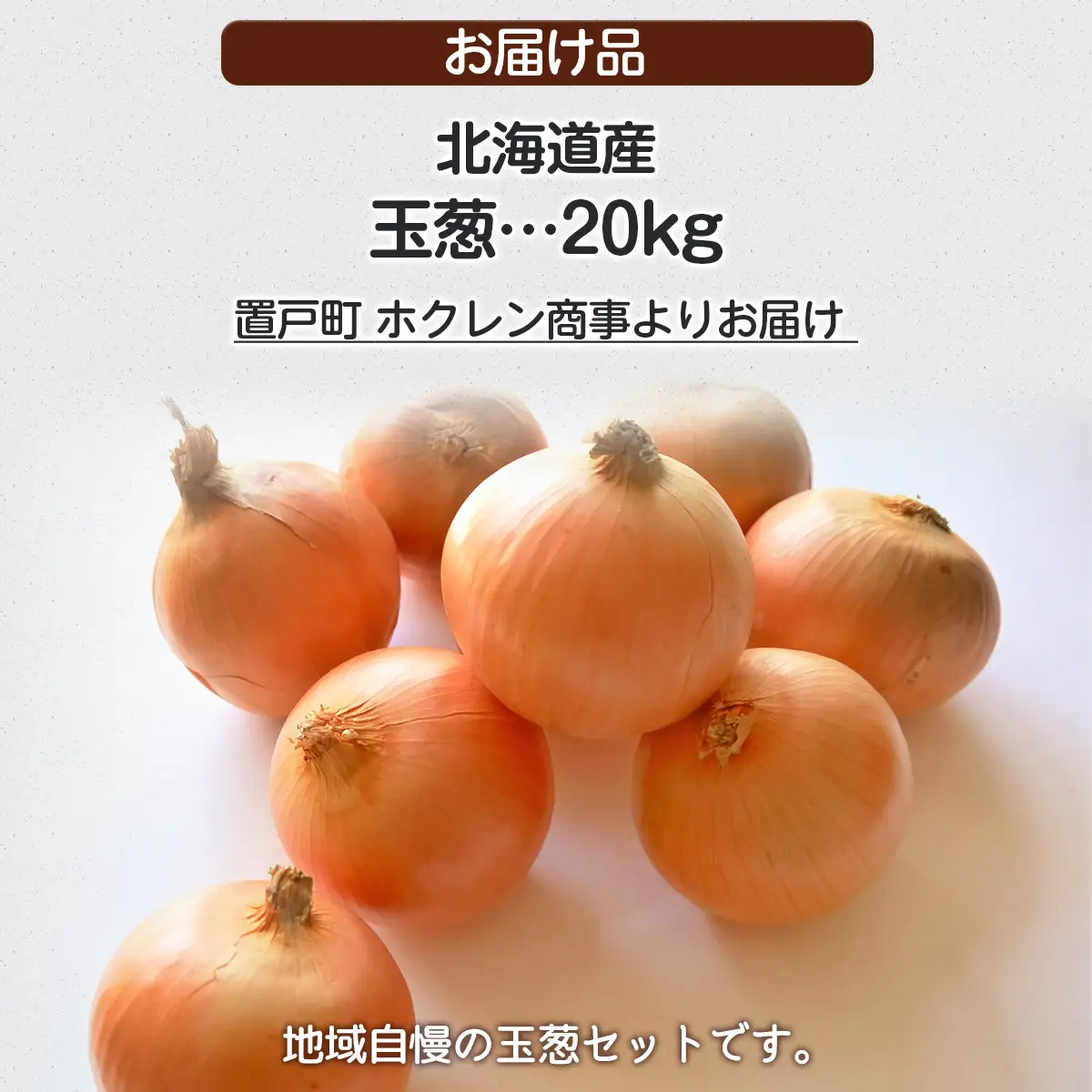 ＪＡきたみらい玉葱 約20kgOTC012