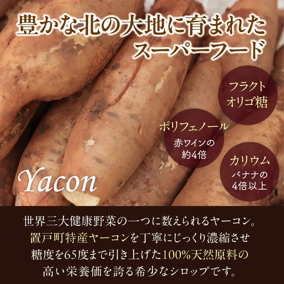 ヤーコンシロップ　420gOTK001