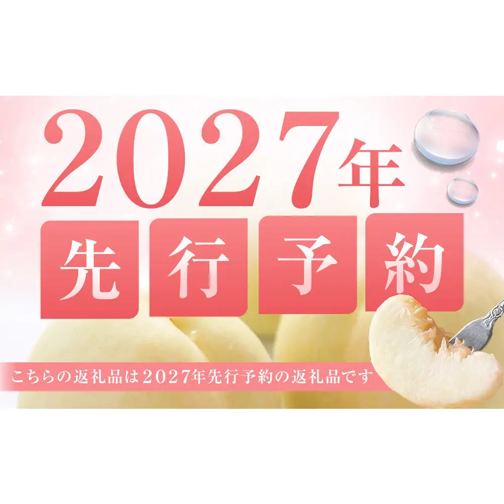 【2027年先行予約】 家庭用 白桃 匠の白桃  約3.4kg（11～12玉）岡山県 一宮産  数量限定 ～旬の美味しさ 犬塚農園からお届け～