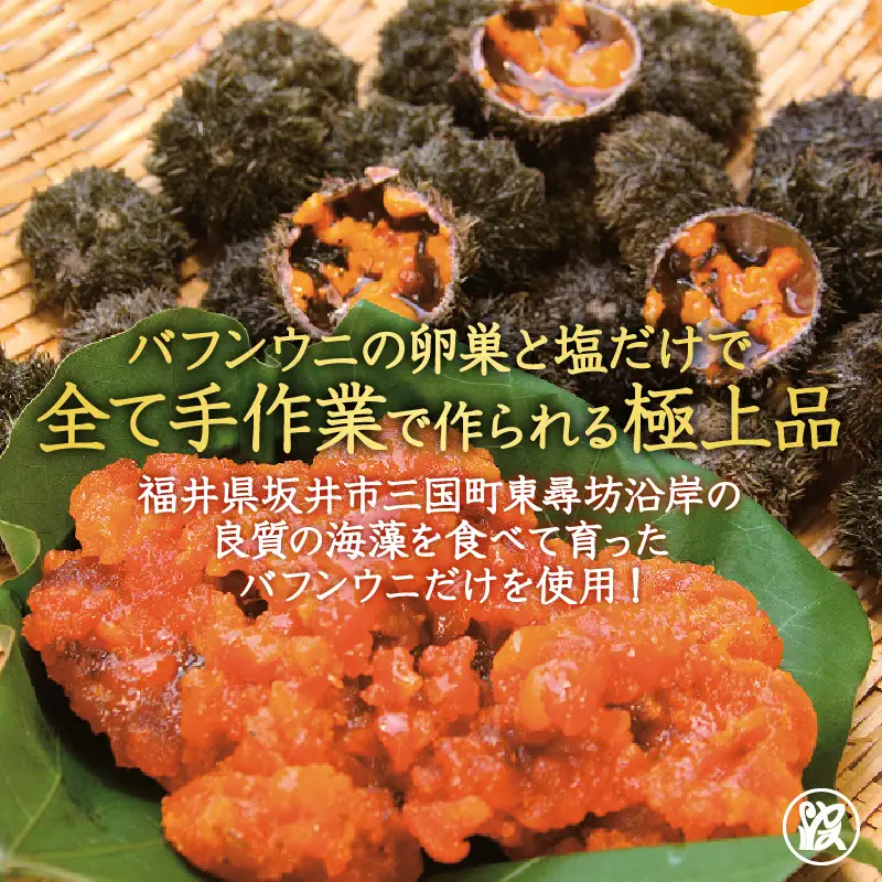 日本三大珍味 坂井市三国町産 越前雲丹 50g【うに 塩うに】 [J-1705]