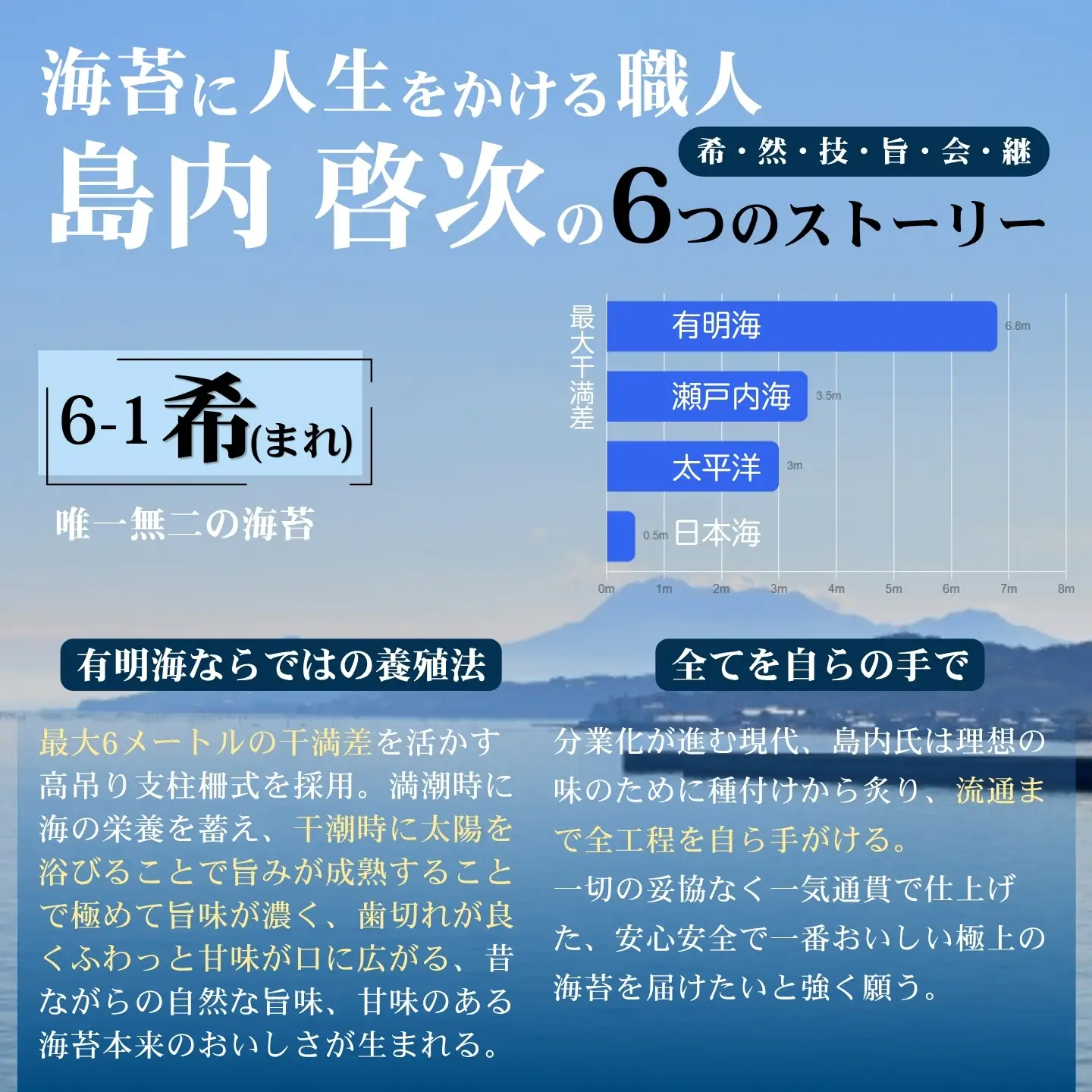 佐賀有明海産初摘み極上焼海苔：B250-035