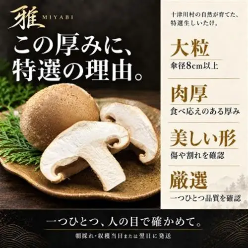 【大粒・肉厚】特選生しいたけ「雅」木箱入り9個 約500g 奈良県十津川村産【配送不可地域：離島】【1786490】