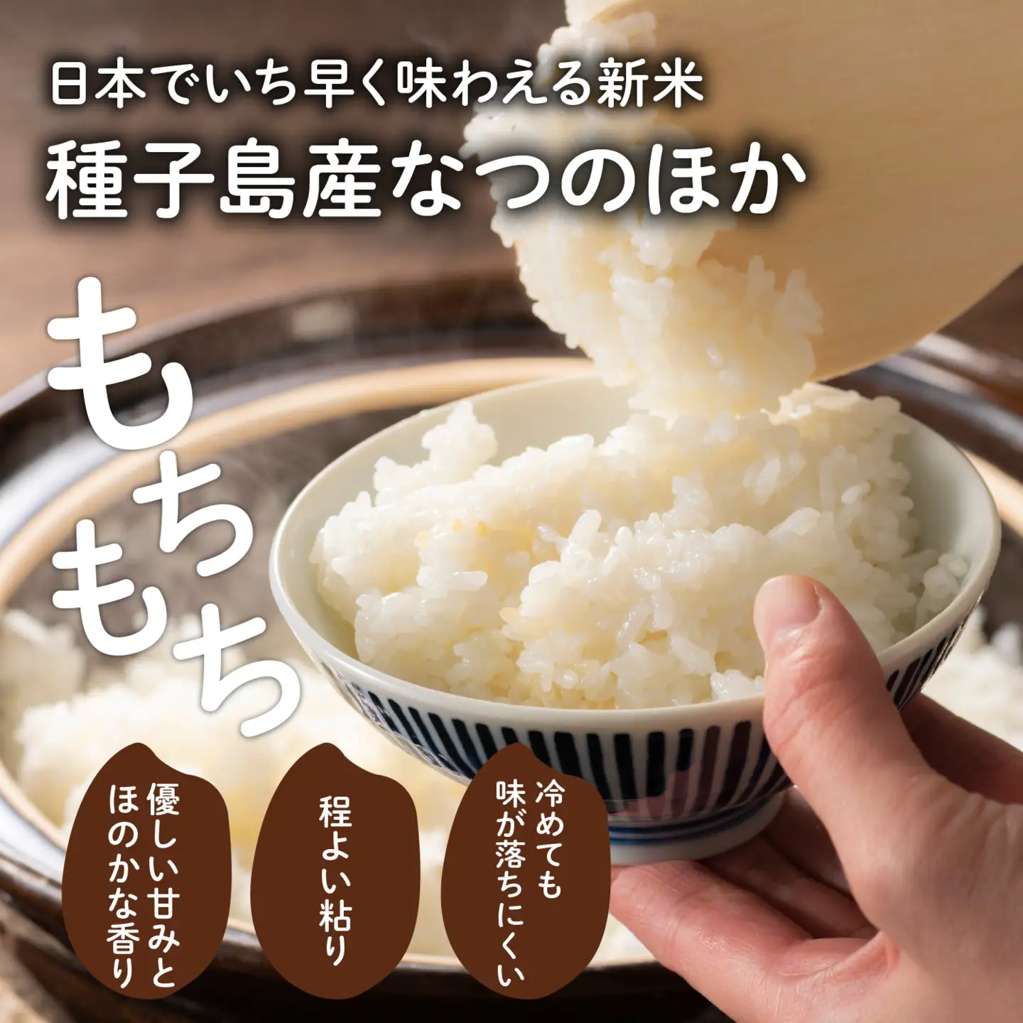 令和8年産 新米 なつほのか 10kg  お米 こめ コメ 精米 白米 南種子町 鹿児島 かごしま 【株式会社こめこめアイランド】