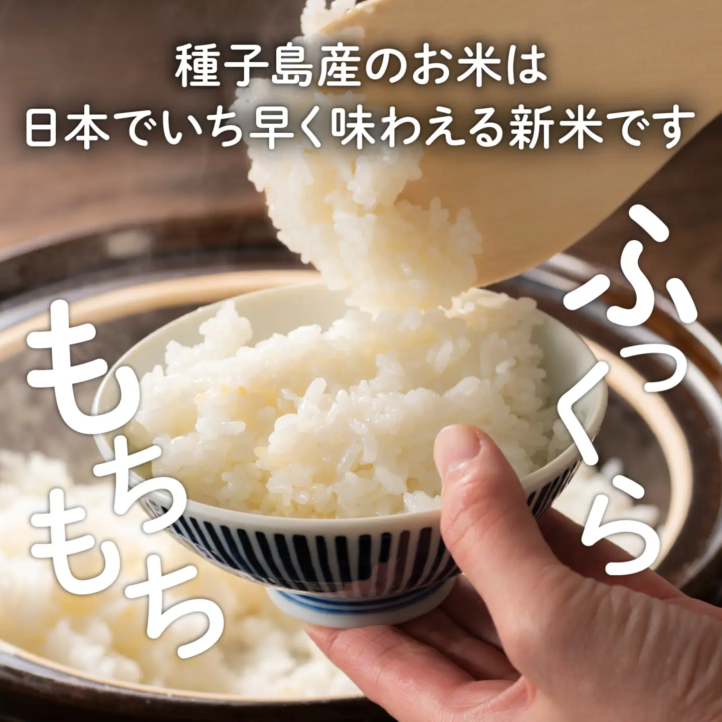 令和8年産 新米 にじのきらめき コシヒカリ ミルキークイーン 食べ比べセット 計1.35kg（450g×各1袋） お米 こめ コメ 精米 白米 南種子町 鹿児島 かごしま【株式会社こめこめアイランド】