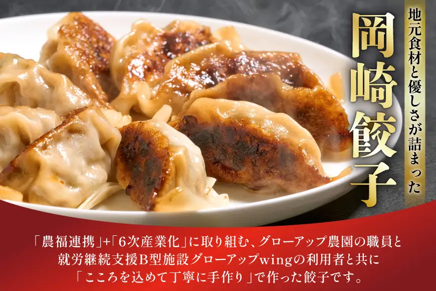 餃子 岡崎餃子 50個 3回 定期便