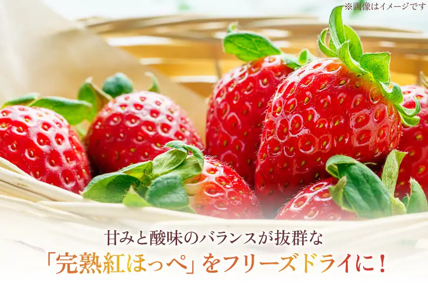 スイーツ いちご屋さかいのしみっチョコいちご 40g 3袋