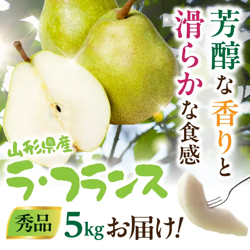 山形県産洋梨 ラ・フランス 秀品 約5kg【2026年11月上旬頃～発送予定】 063-026