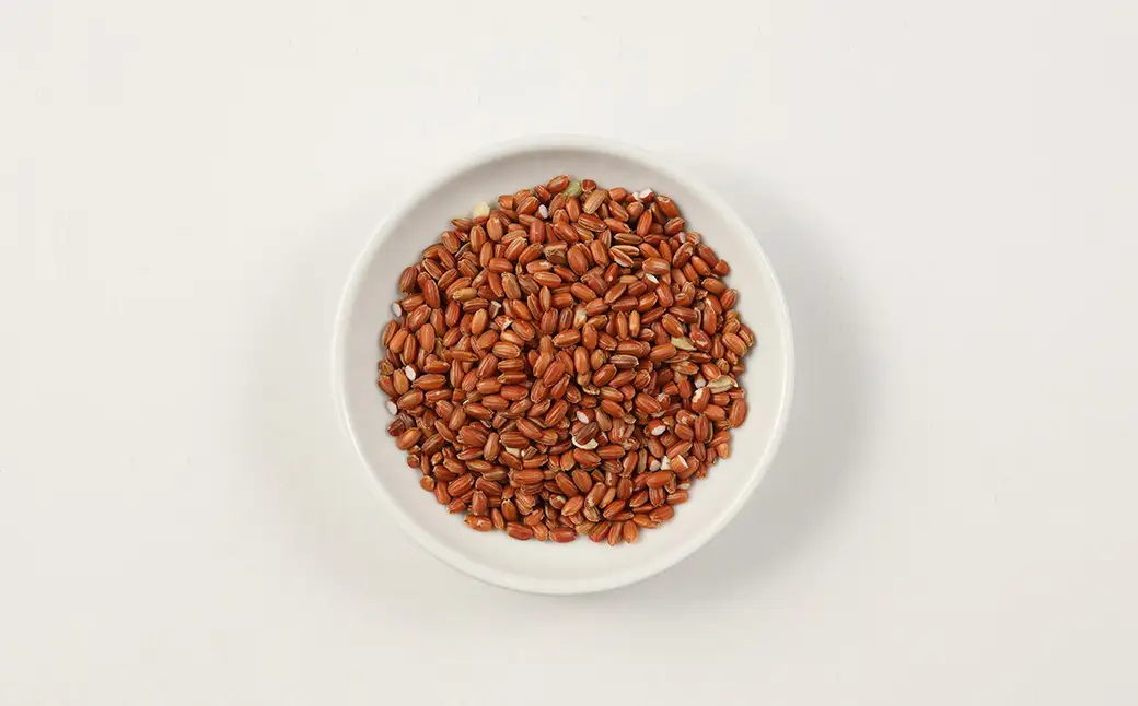 【白米に混ぜるだけ】赤米（500g）（しだれ桜とナリエの里 四美）【南ひだヘルスファーム】【129-6】