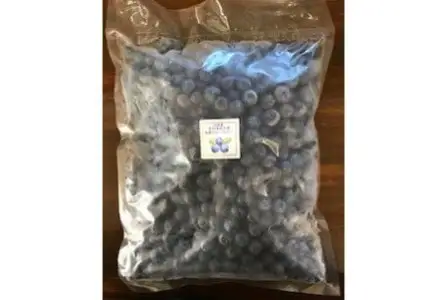 【やさしや】【加工用】淡路島 馬回集落のブルーベリー 500g【冷凍】