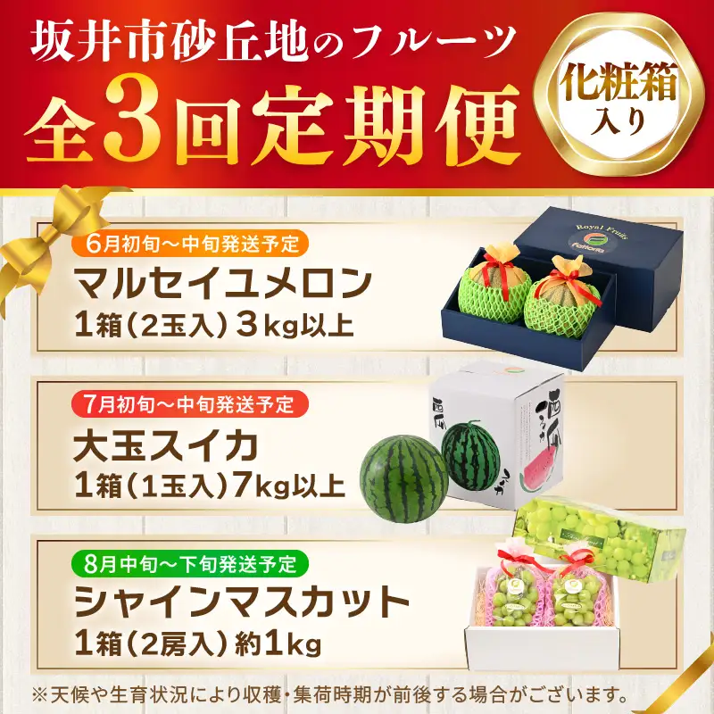 【先行予約】【フルーツ定期便3回】マルセイユメロン2玉＆大玉スイカ1玉＆大粒シャインマスカット2房【2027年6月上旬以降順次発送】【定期便 くだもの】 [D-19101]