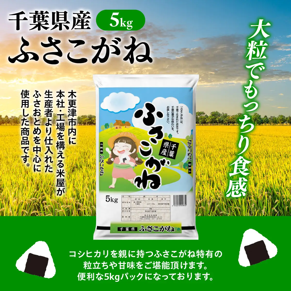 【最短2～7営業日にて出荷】令和8年度産  千葉県産「ふさこがね」10kg  (5kg×2)  KCV005